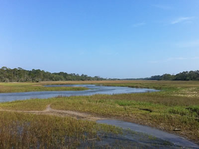 Jekyll Island Marshes and Wetlands